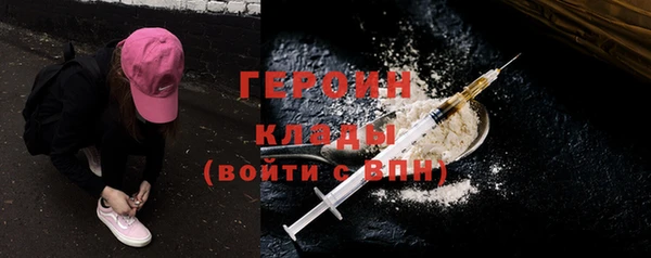индика Медвежьегорск