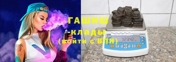 индика Медвежьегорск