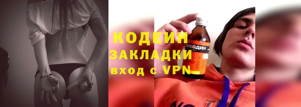 индика Медвежьегорск