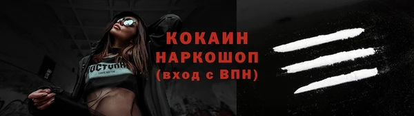 индика Медвежьегорск