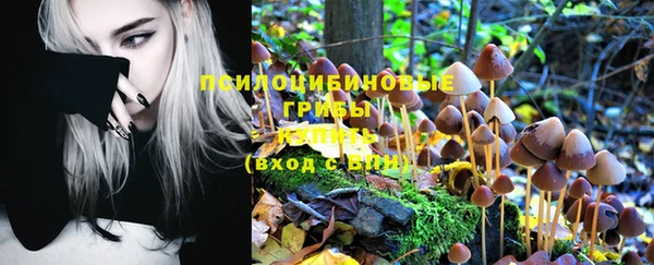 винт Медногорск
