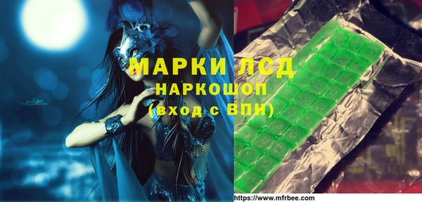 индика Медвежьегорск