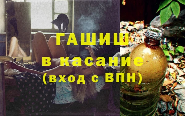 индика Медвежьегорск