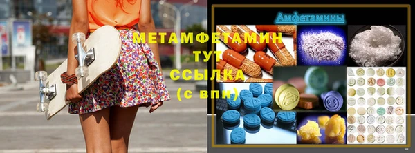 индика Медвежьегорск