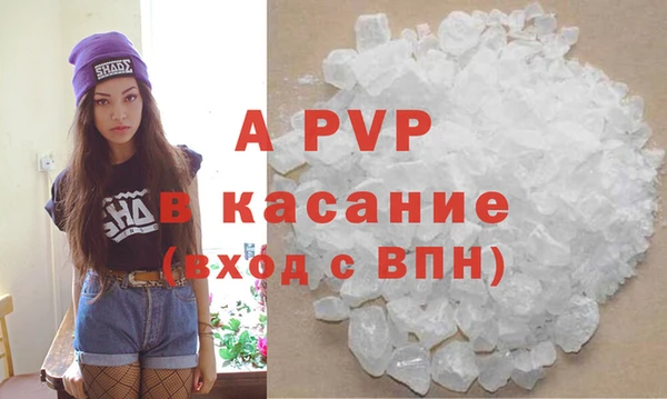 индика Медвежьегорск