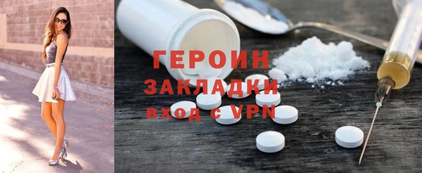 индика Медвежьегорск