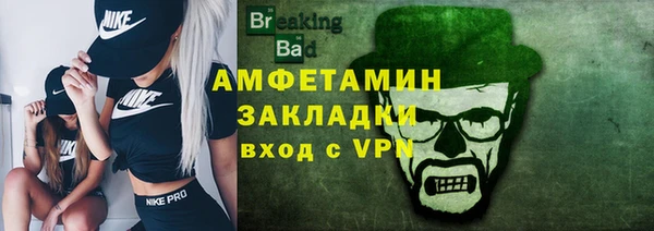 индика Медвежьегорск