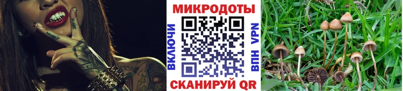 Псилоцибиновые грибы MAGIC MUSHROOMS  это официальный сайт  Отрадный  купить наркоту  блэк спрут ссылка 